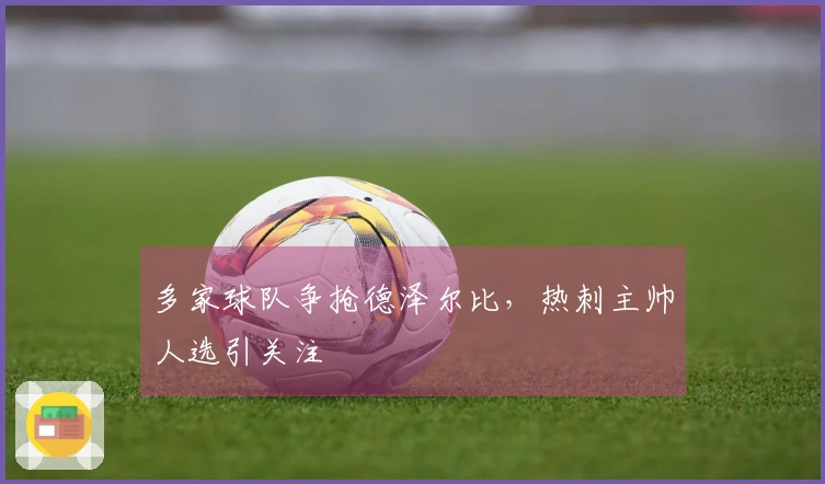 多家球队争抢德泽尔比，热刺主帅人选引关注